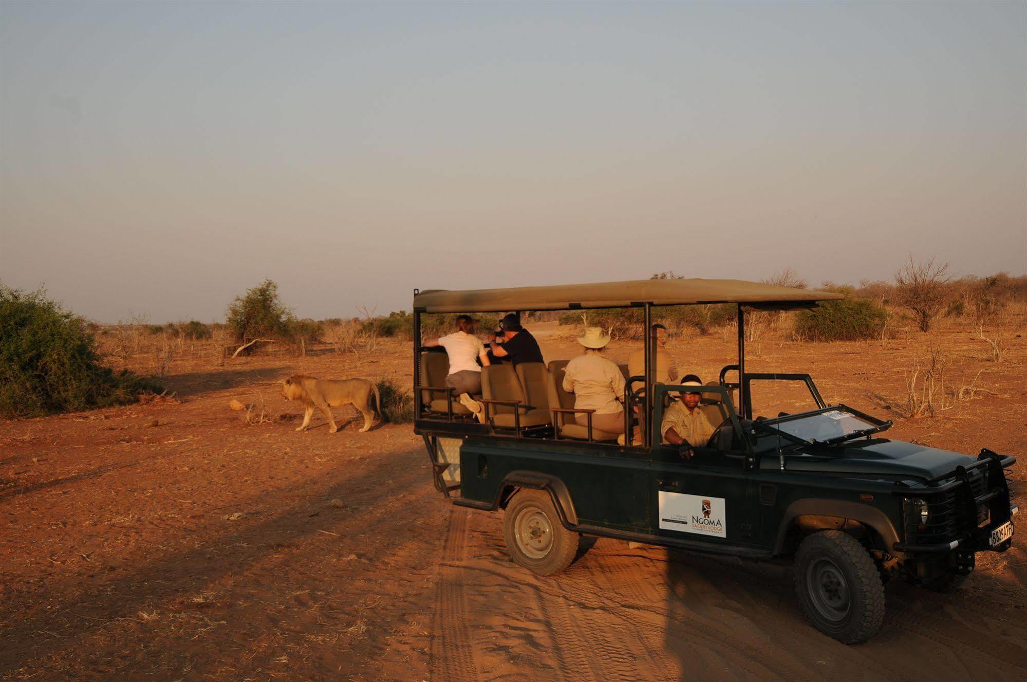 Ngoma Safari Lodge Kavimba Exterior foto