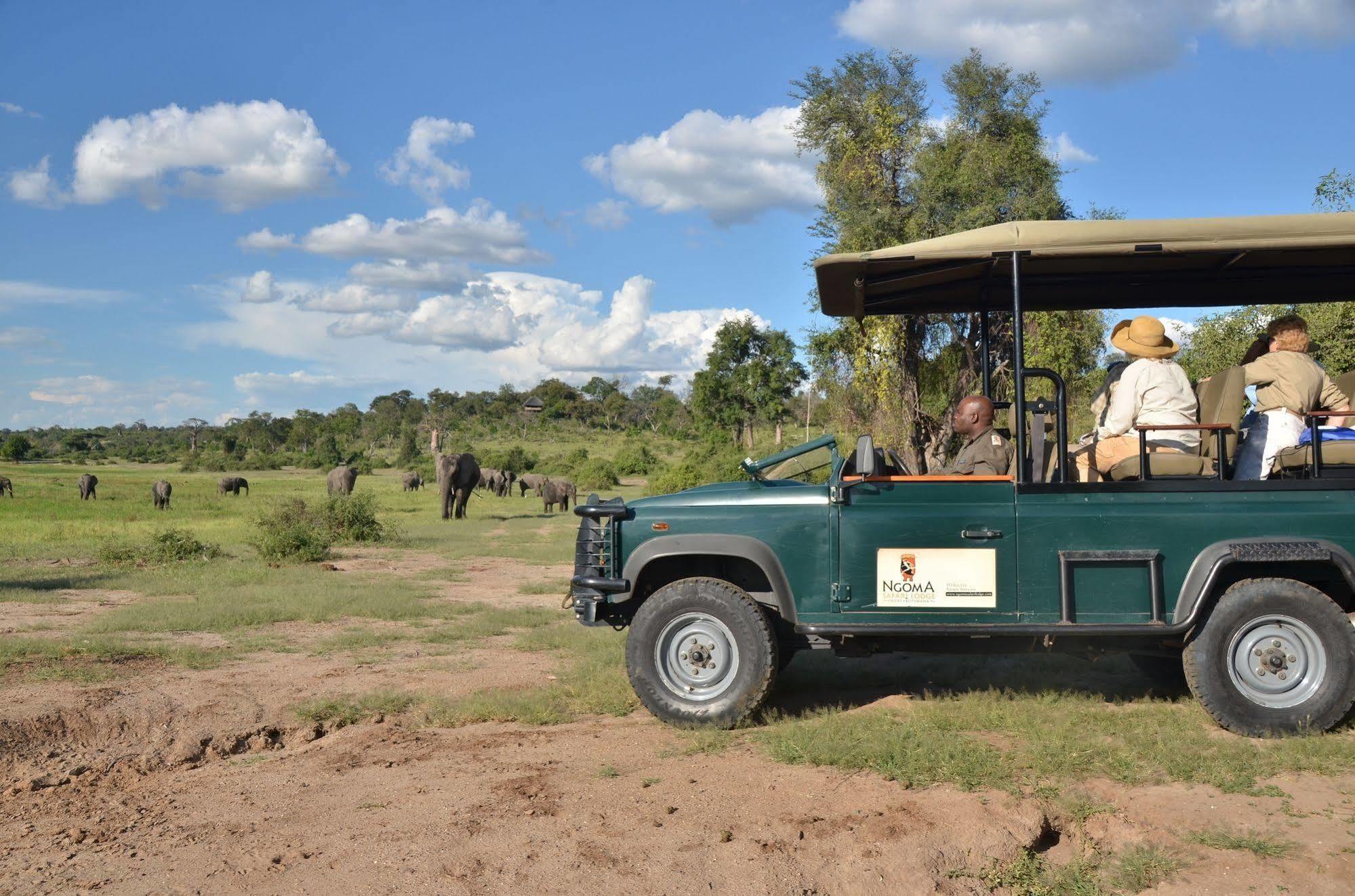 Ngoma Safari Lodge Kavimba Exterior foto